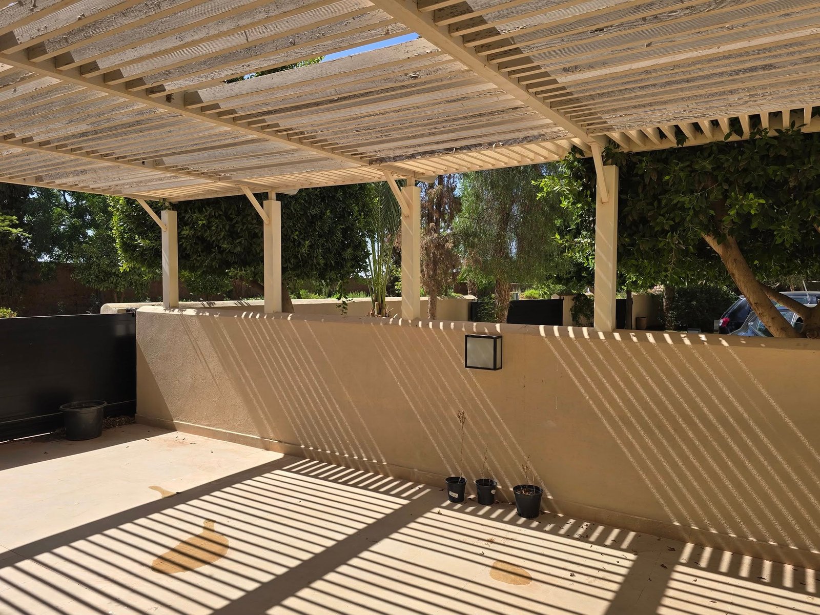 541447591_122183048030487940_7339337472250862419_n