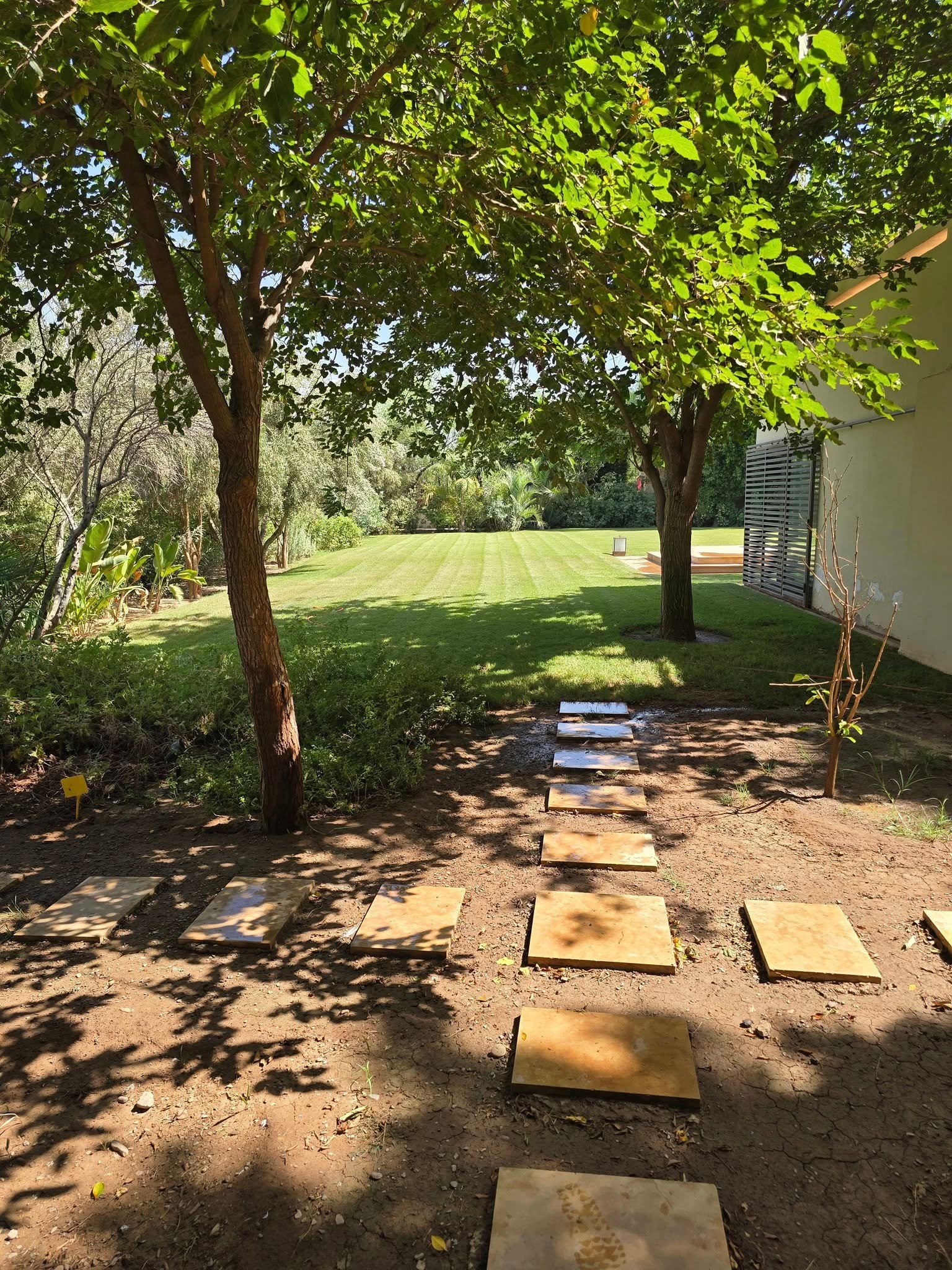 541678245_122183051390487940_2152979027641076365_n