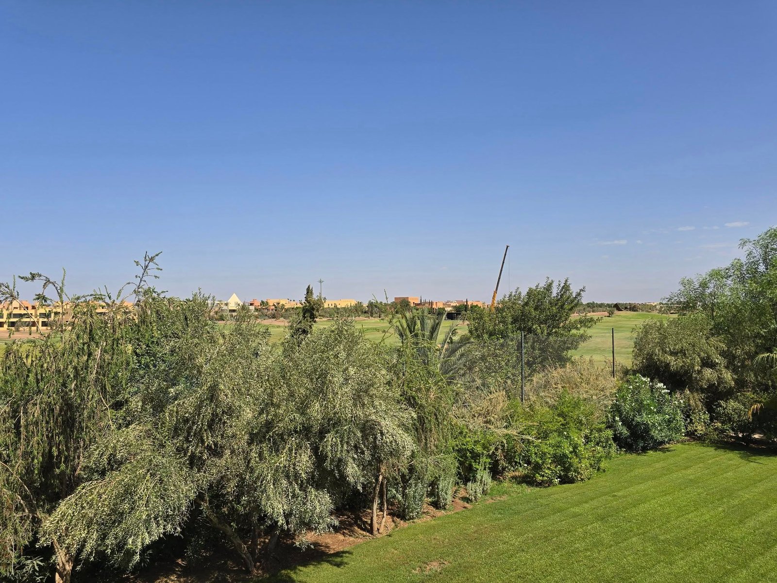 542353495_122183050982487940_169616040021553947_n