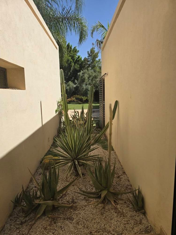 542588381_122183047448487940_5177656521618706115_n