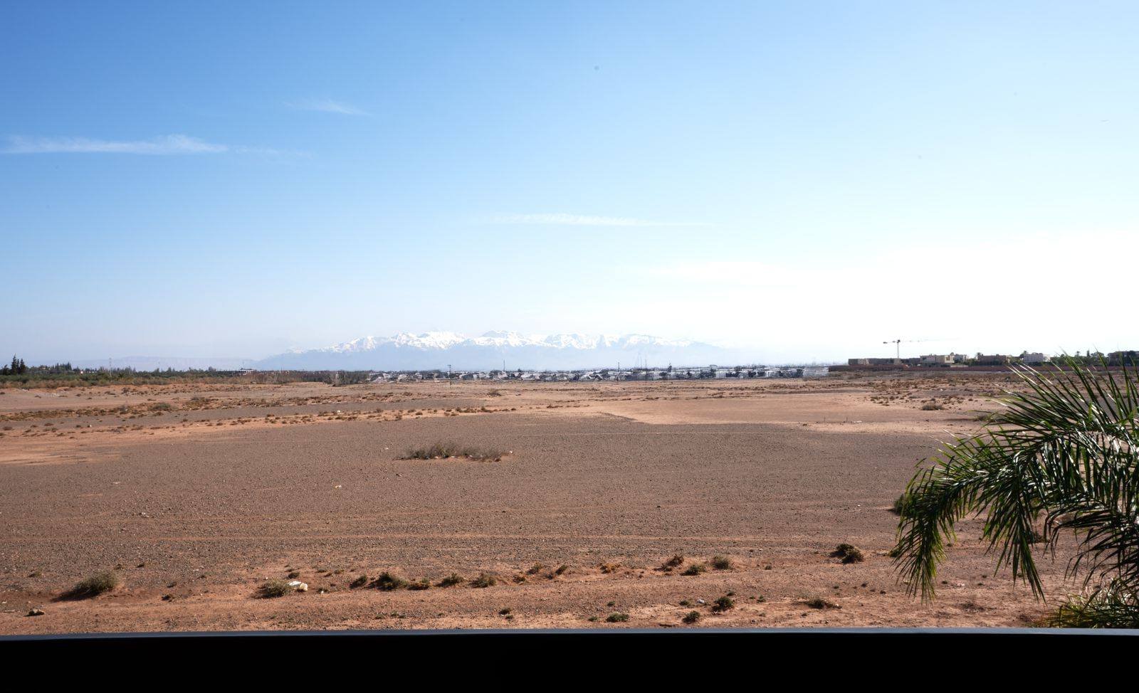 591910352_1426930782775237_6384214459469819468_n